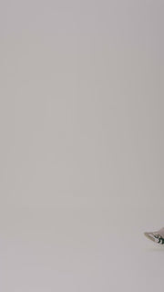 LAYA SWEATSHIRT BEIGE